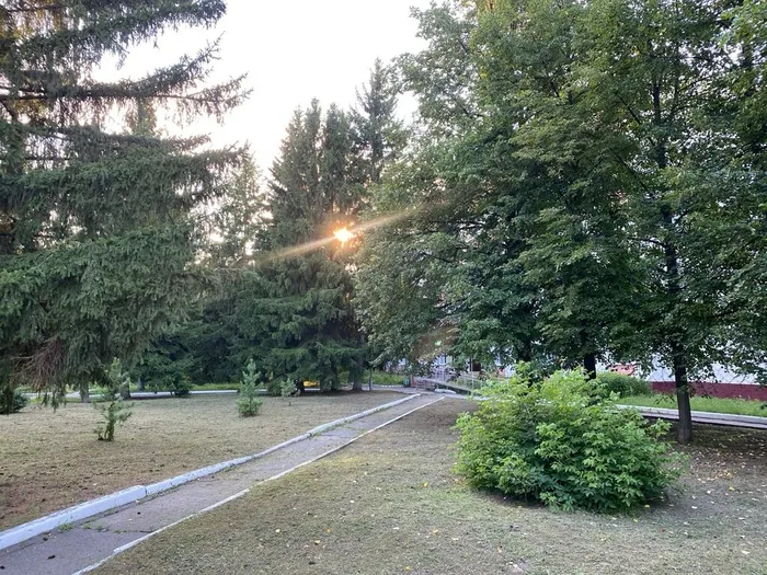 Сквер Лесной, г. Северск, фото из архива МБУ ЦГБ
