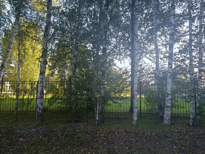Фото из архива МБУ ЦГБ