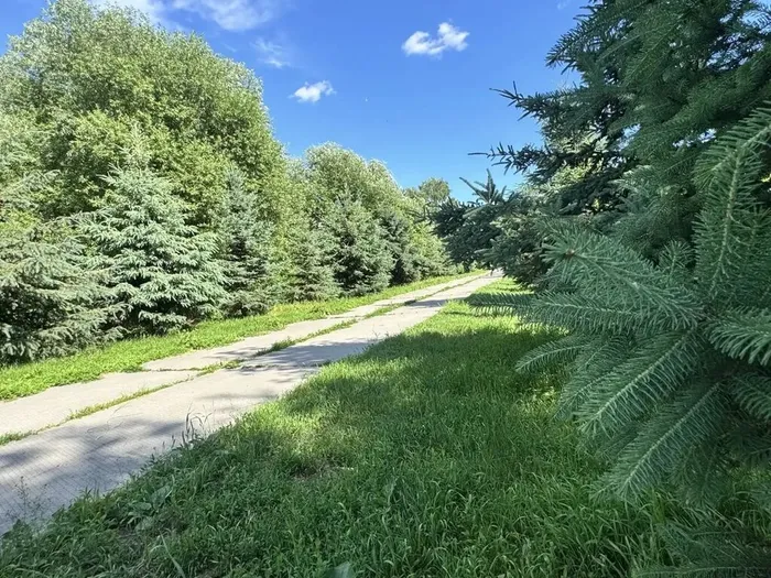 Прибрежный парк. Автор фото В. В. Глазкова