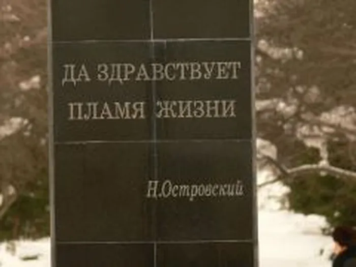 1204459065_p1090342_240x180