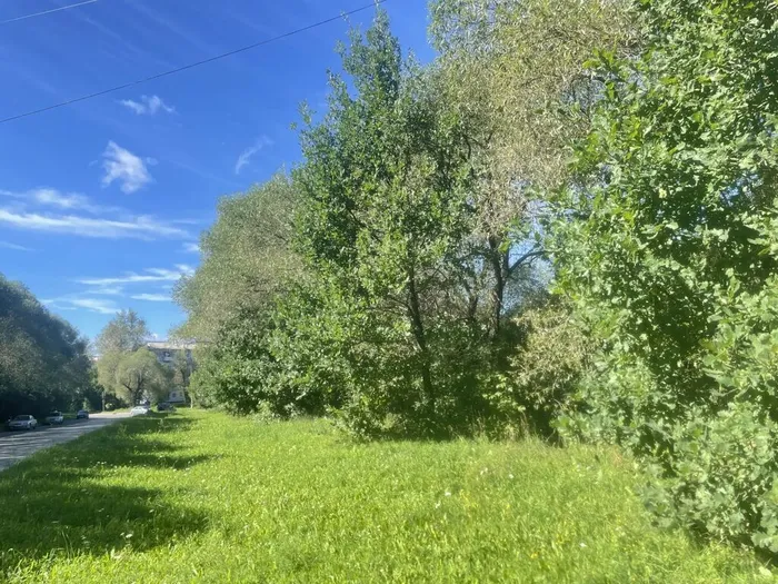Фото из архива МБУ ЦГБ