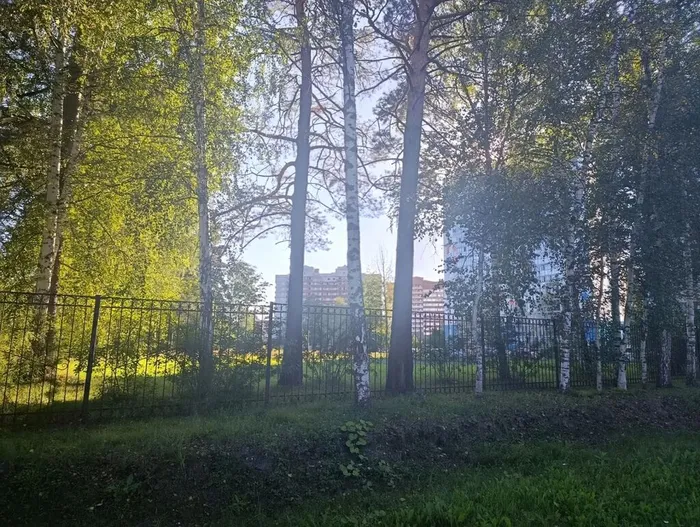 Фото из архива МБУ ЦГБ