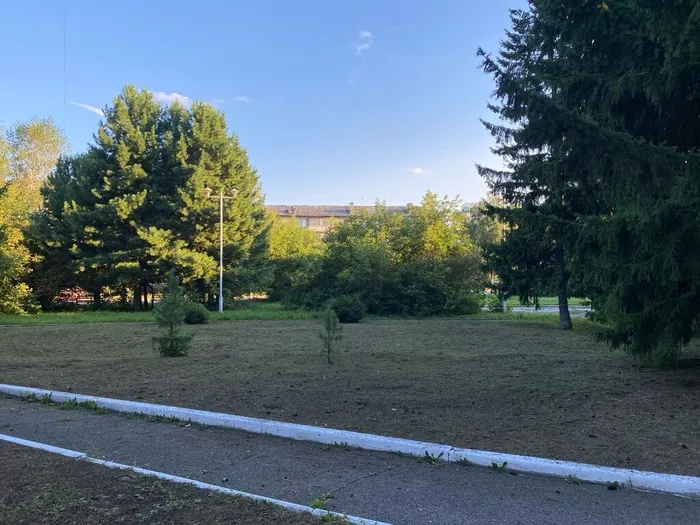 Сквер Лесной, г. Северск, фото из архива МБУ ЦГБ