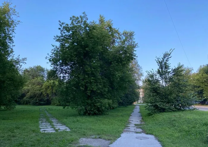 Сквер Лесной, г. Северск, фото из архива МБУ ЦГБ