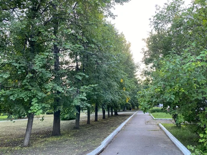 Сквер Лесной, г. Северск, фото из архива МБУ ЦГБ