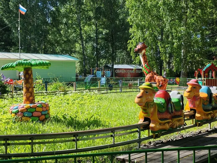 Аттракционы в Природном парке