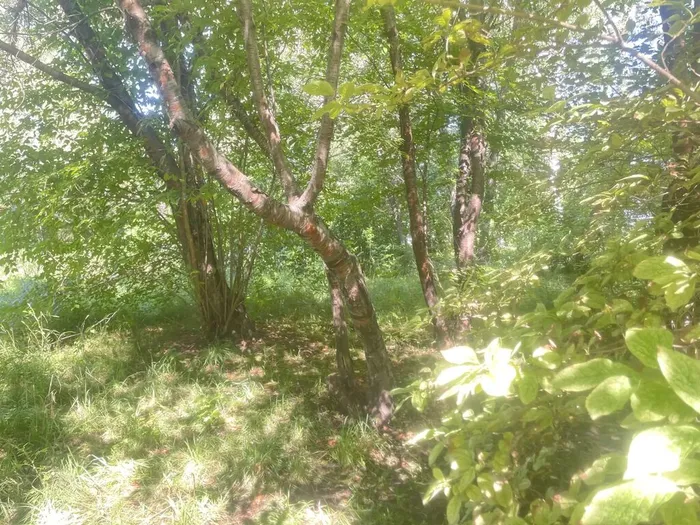 Фото из архива МБУ ЦГБ