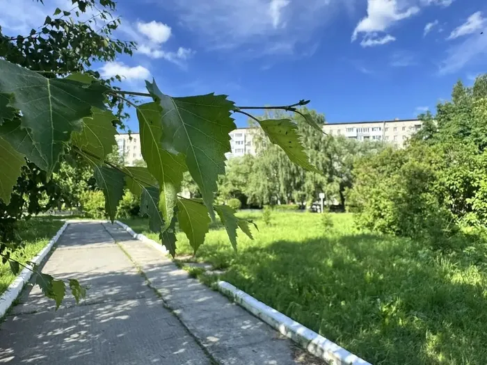 Прибрежный парк. Автор фото В. В. Глазкова
