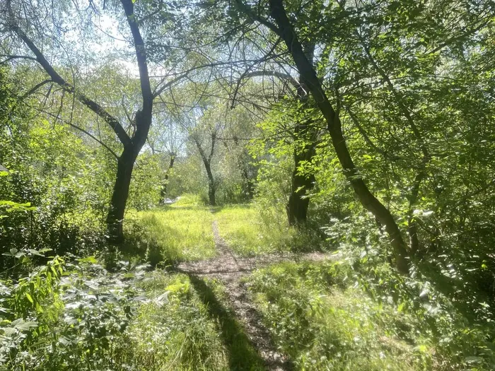 Фото из архива МБУ ЦГБ