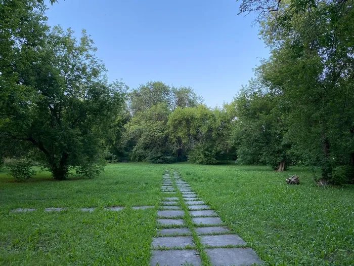 Сквер Лесной, г. Северск, фото из архива МБУ ЦГБ