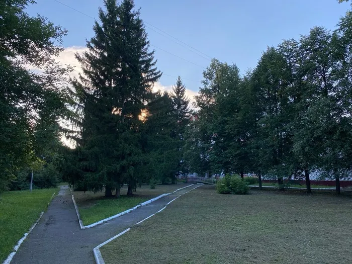 Сквер Лесной, г. Северск, фото из архива МБУ ЦГБ